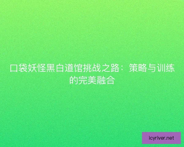 口袋妖怪黑白道馆挑战之路：策略与训练的完美融合